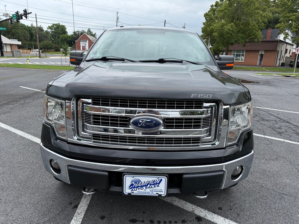2013 Ford F-150 Image 3