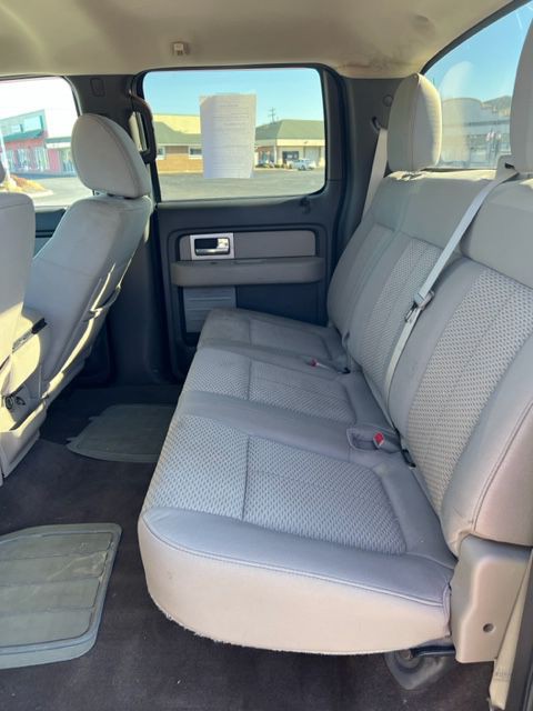 2010 Ford F-150 Image 7