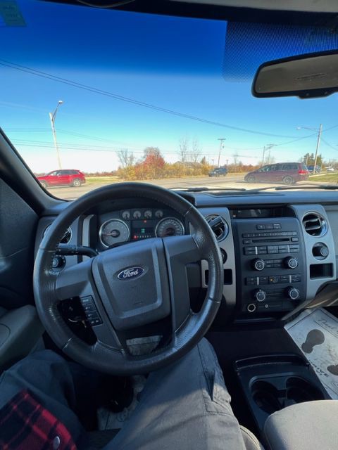 2010 Ford F-150 Image 9