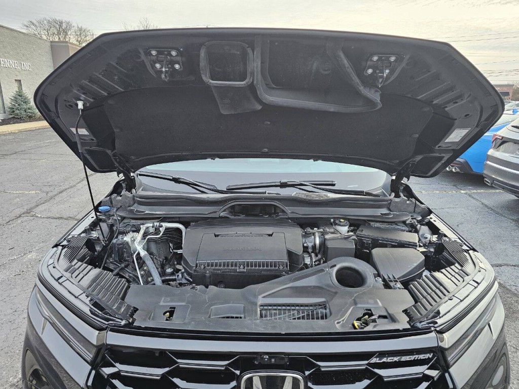 2025 Honda Pilot Image 13