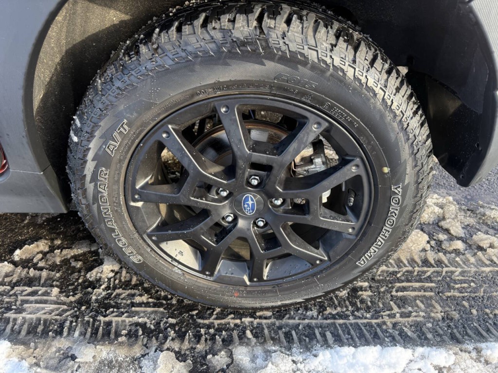 2024 Subaru Crosstrek Image 11