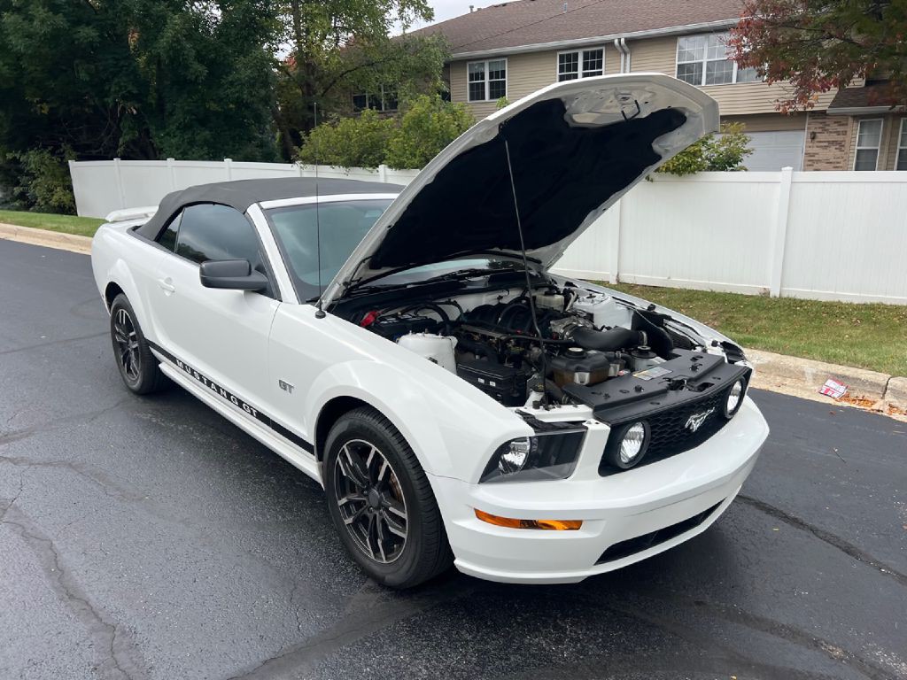 2006 Ford Mustang Image 12