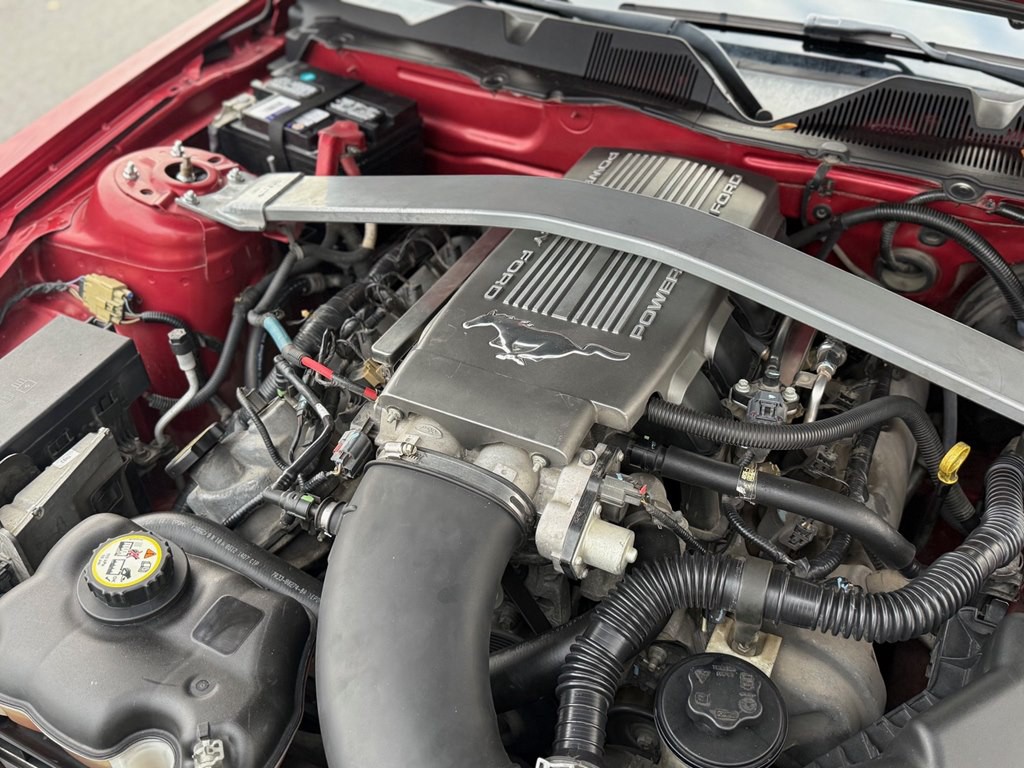 2010 Ford Mustang Image 13