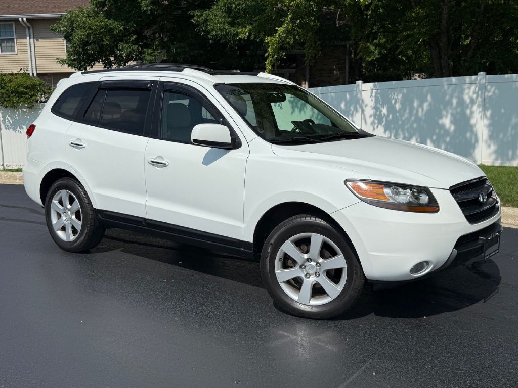 2007 Hyundai Santa Fe Image 2
