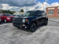 Image for 2015 Jeep Renegade Trailhawk ID: 6669035