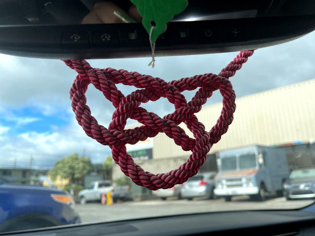 2014 Lexus IS Image 19