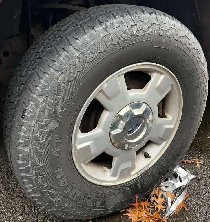 2011 Ford F-150 Image 16