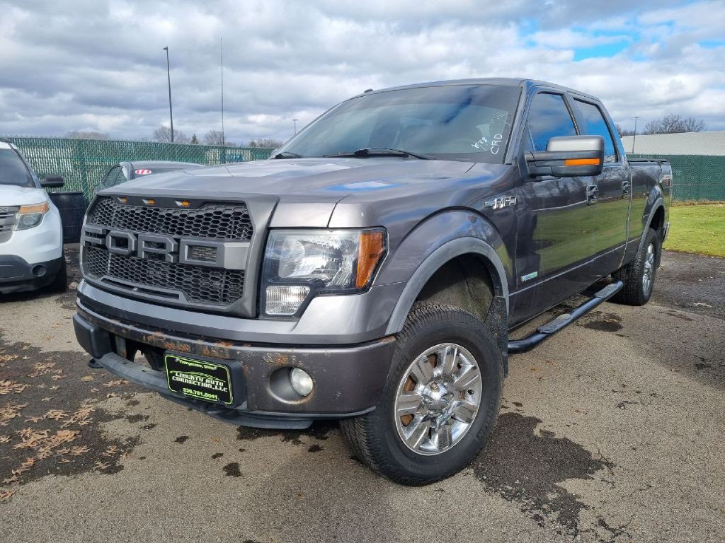 2011 Ford F-150 Image 4