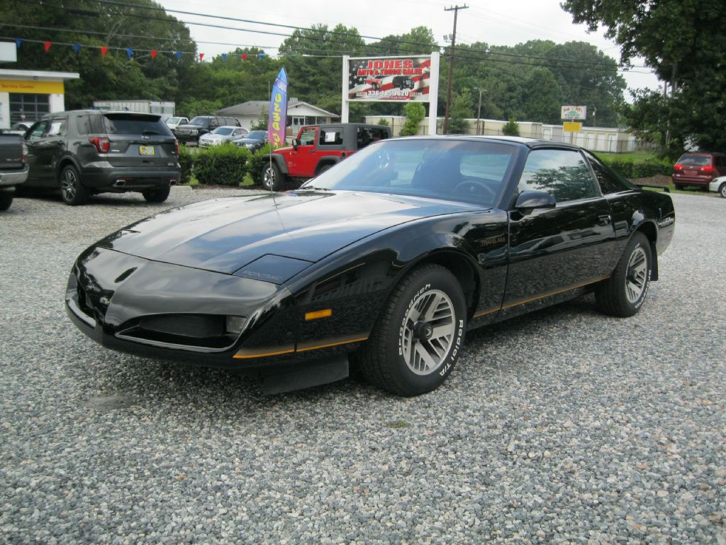 1991 Pontiac Firebird Image 1
