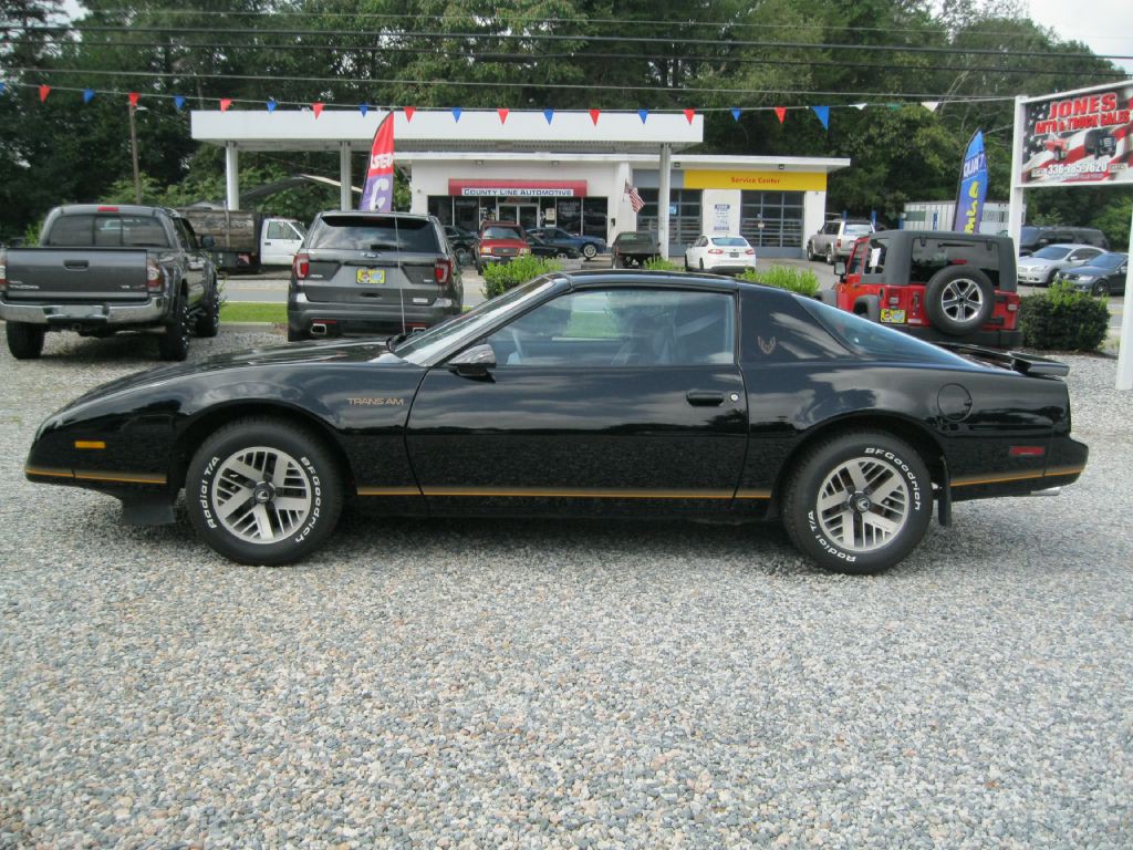 1991 Pontiac Firebird Image 2
