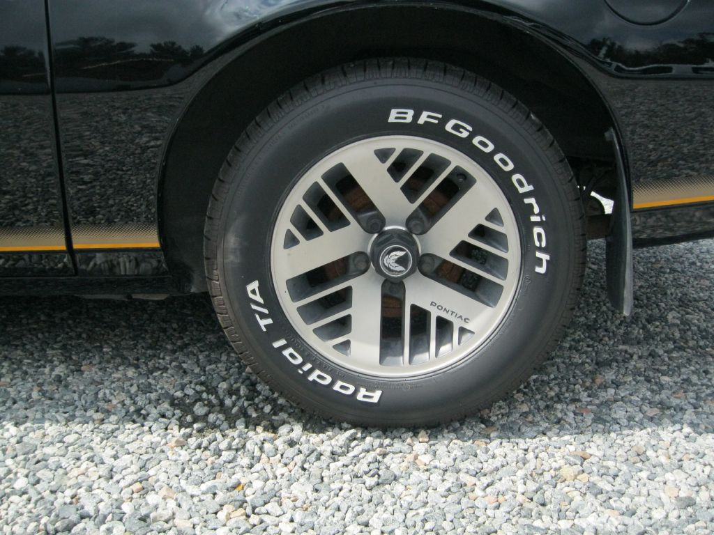 1991 Pontiac Firebird Image 17