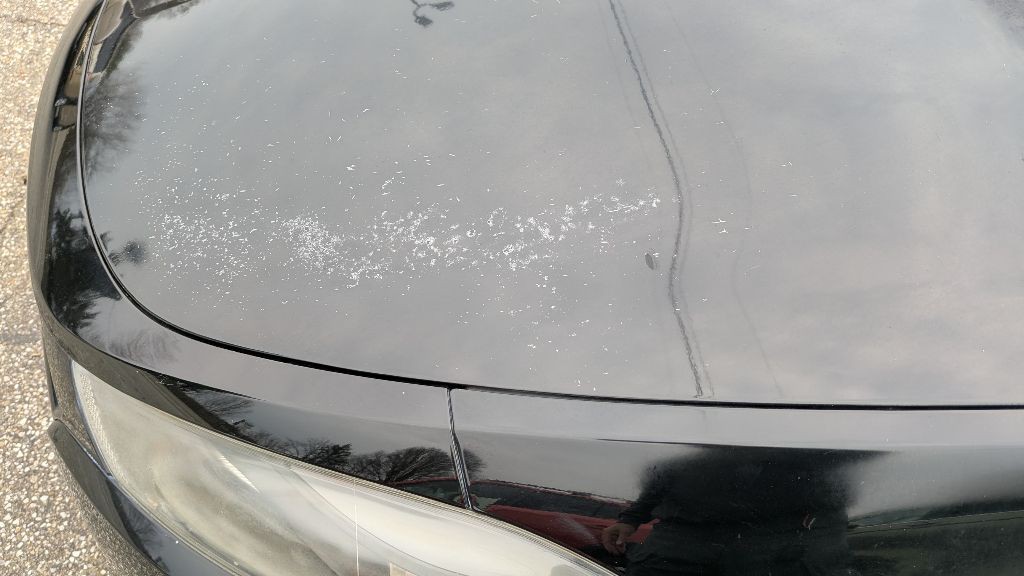 2015 Dodge Dart Image 40