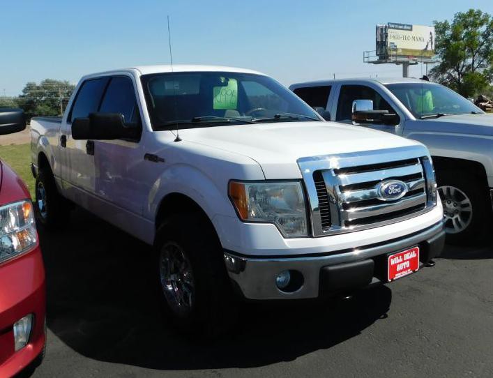 2010 Ford F-150 Image 2