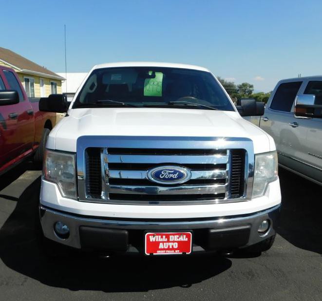2010 Ford F-150 Image 3