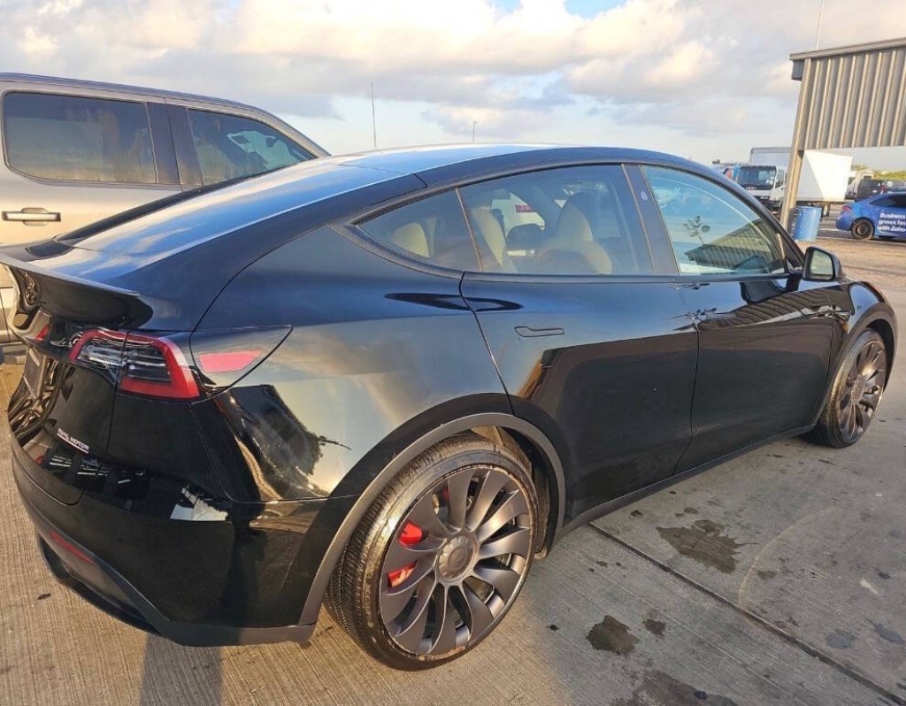 2025 Tesla Model Y Image 5
