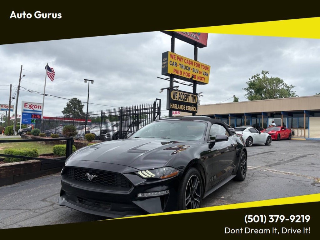 2019 Ford Mustang Image 1
