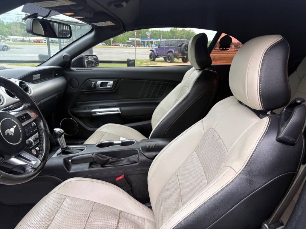 2019 Ford Mustang Image 7
