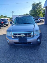 Image for 2008 Ford Escape XLT ID: 7557243