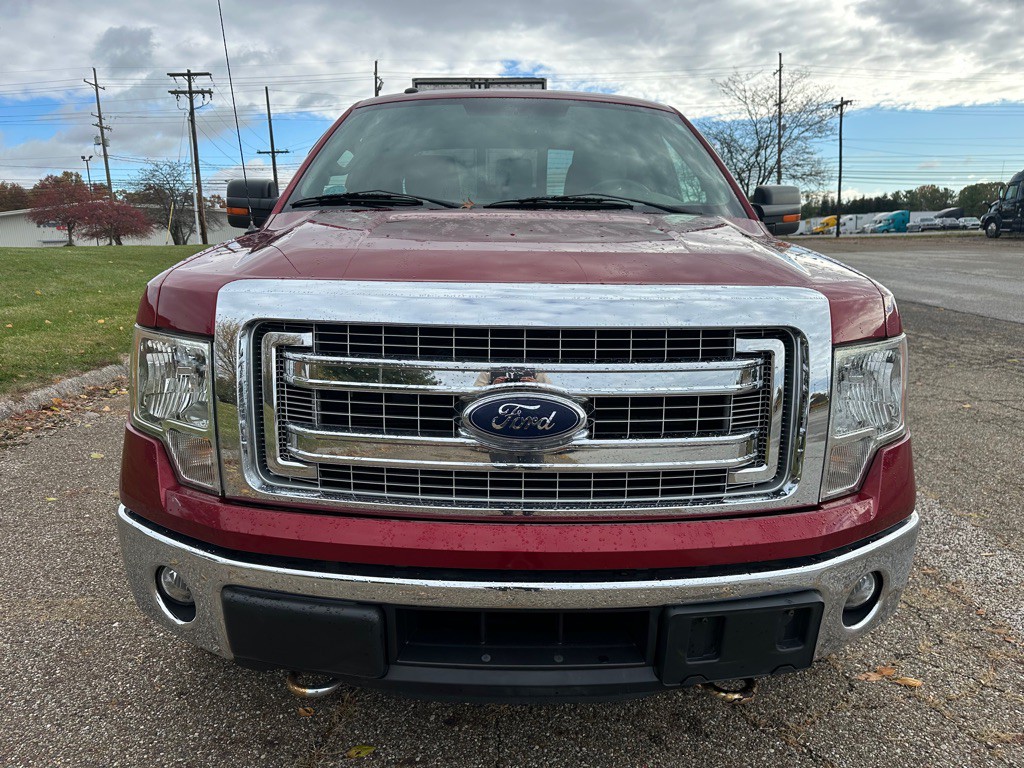 2014 Ford F-150 Image 8