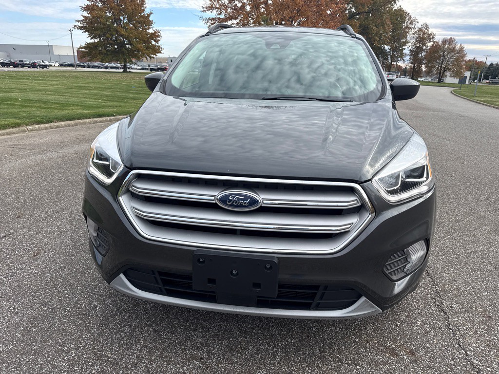 2019 Ford Escape Image 2