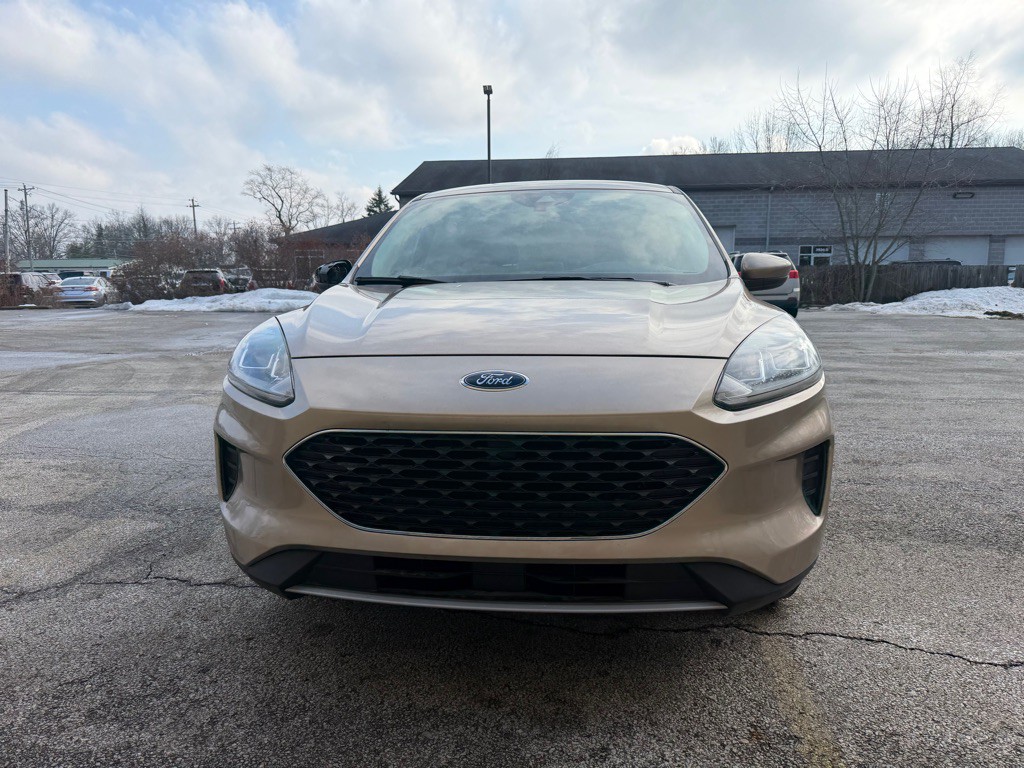 2020 Ford Escape Image 2