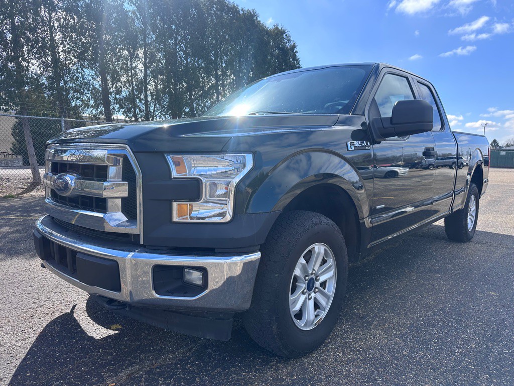 2017 Ford F-150 Image 1