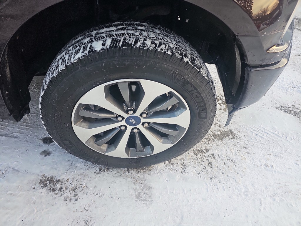 2019 Ford F-150 Image 5