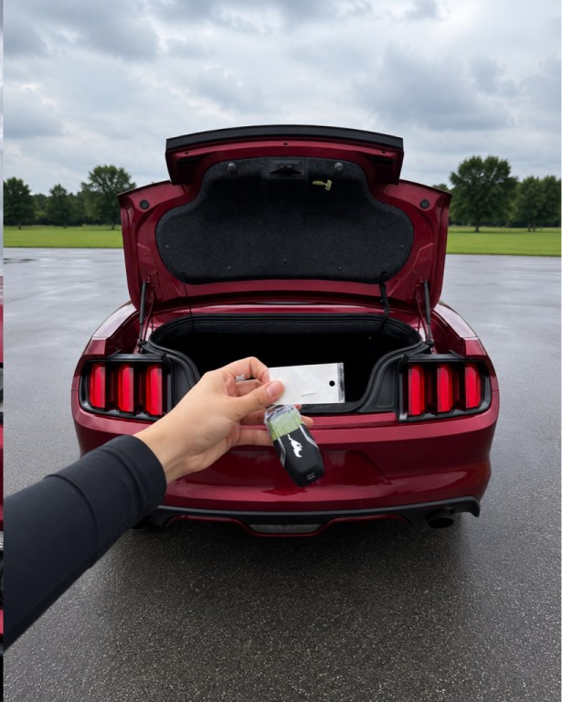2015 Ford Mustang Image 6