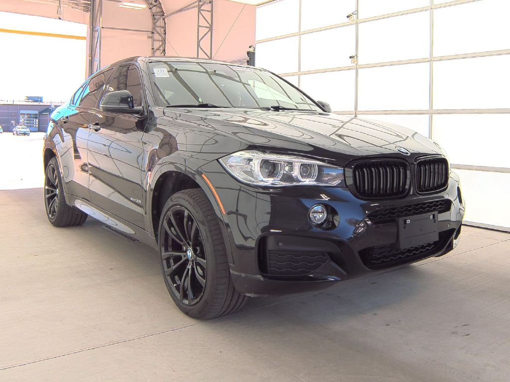 2018 BMW X6 Image 22