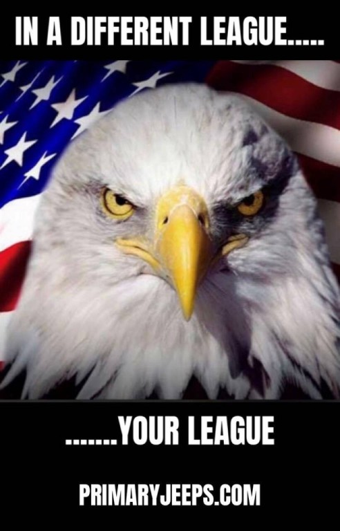 2015 Jeep Wrangler Unlimited Image 13