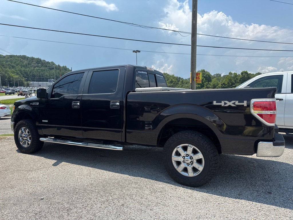 2014 Ford F-150 Image 2