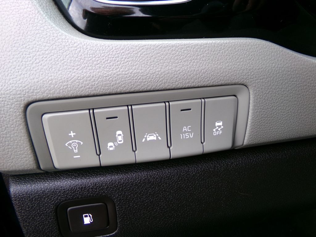 2016 Kia Sedona Image 15