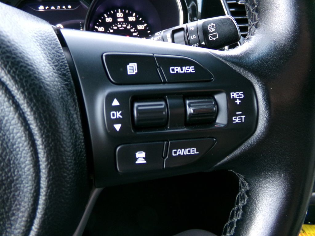 2016 Kia Sedona Image 18