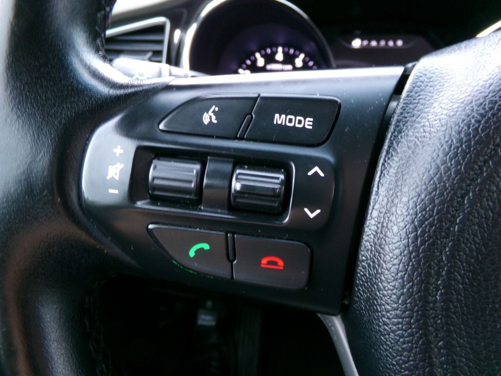 2016 Kia Sedona Image 19