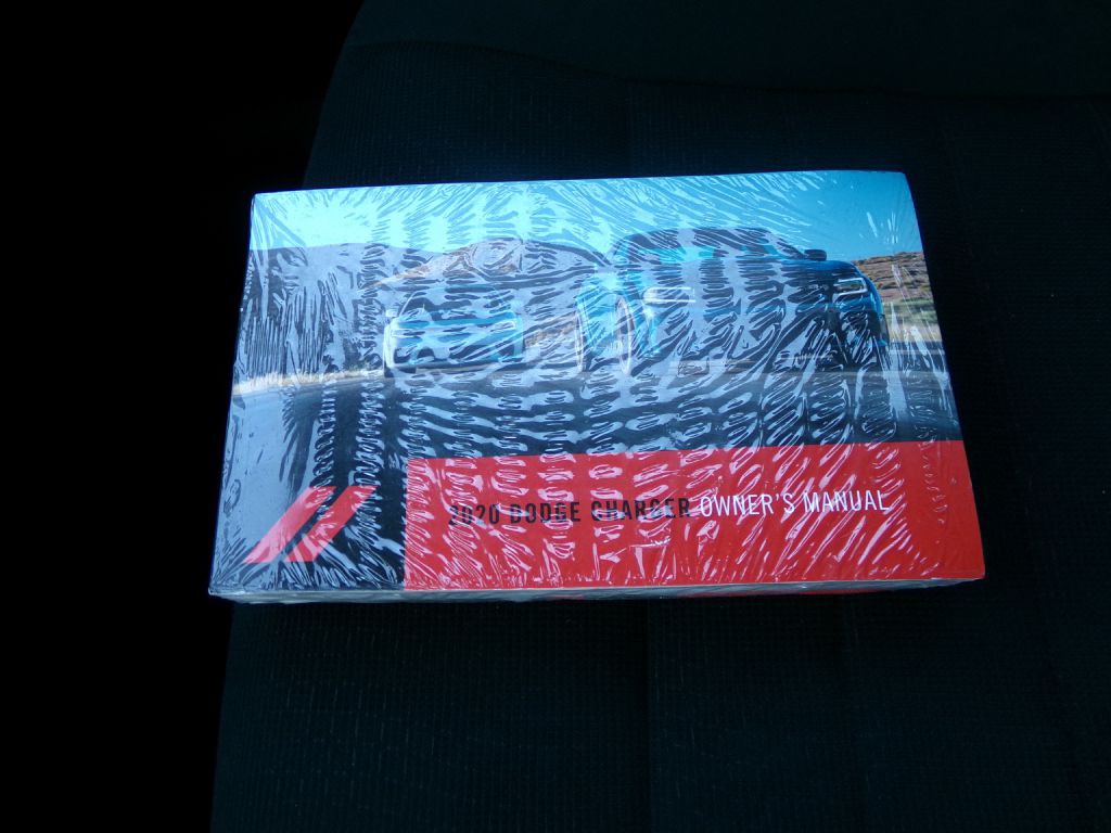 2020 Dodge Charger Image 25