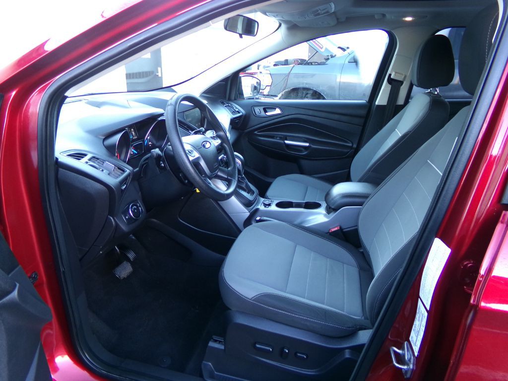2014 Ford Escape Image 11