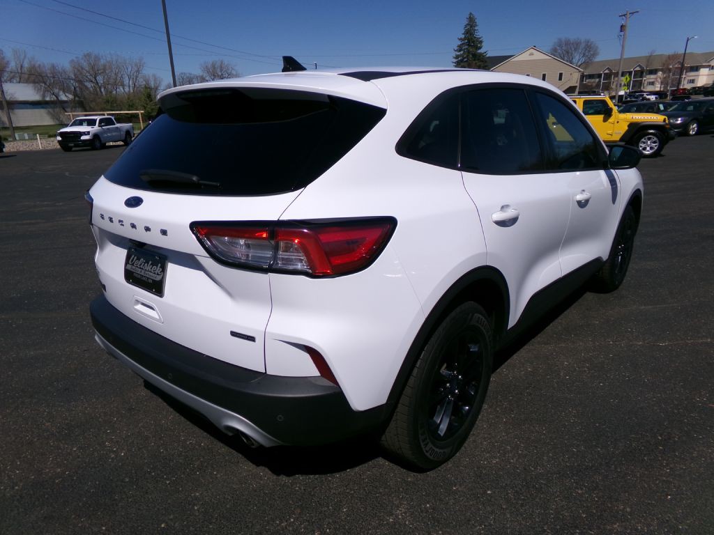 2020 Ford Escape Image 7