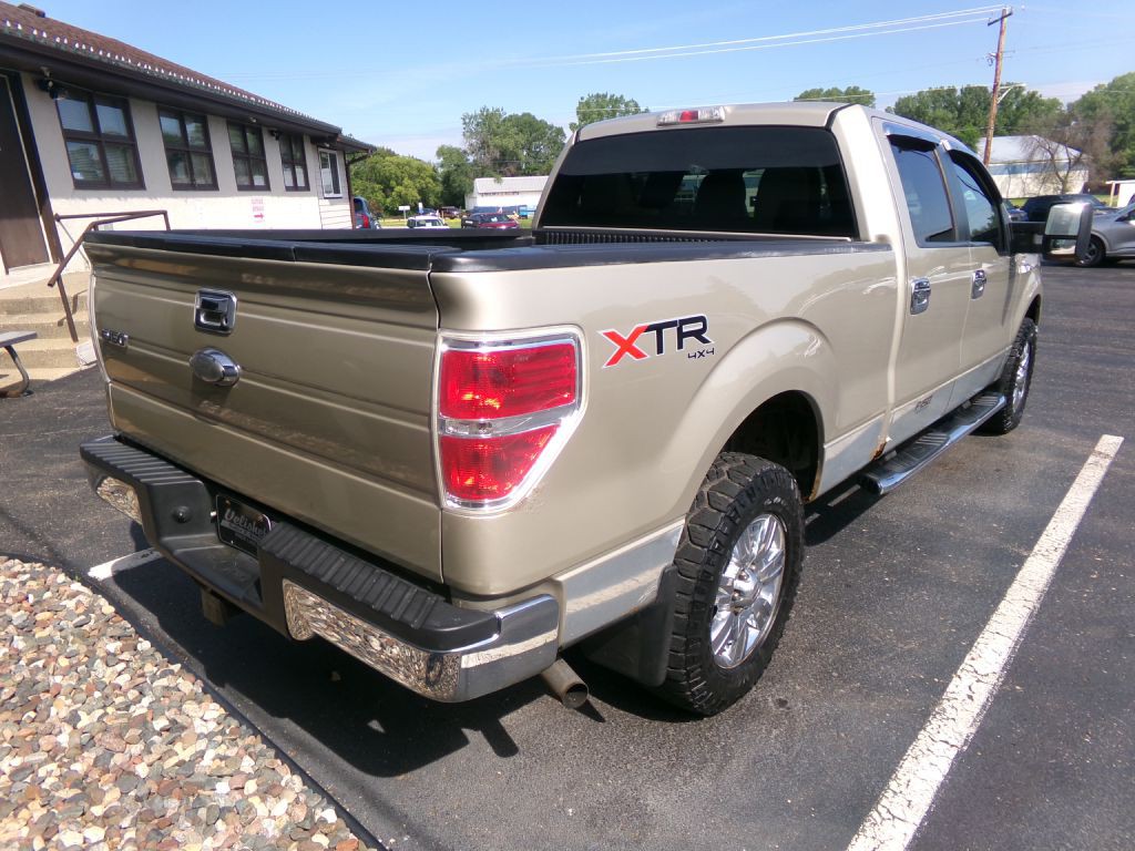 2010 Ford F-150 Image 3