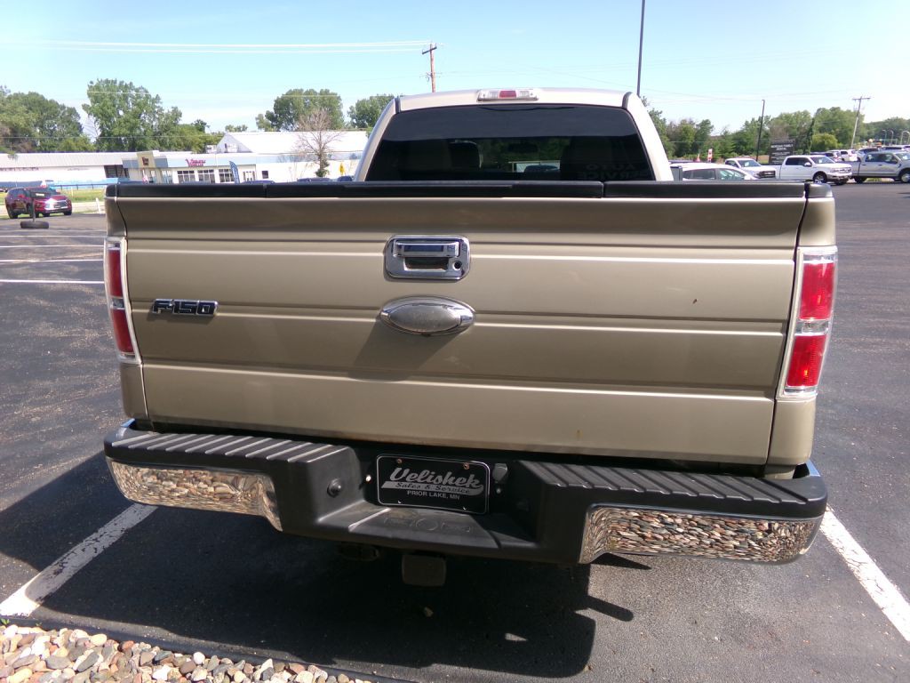 2010 Ford F-150 Image 4