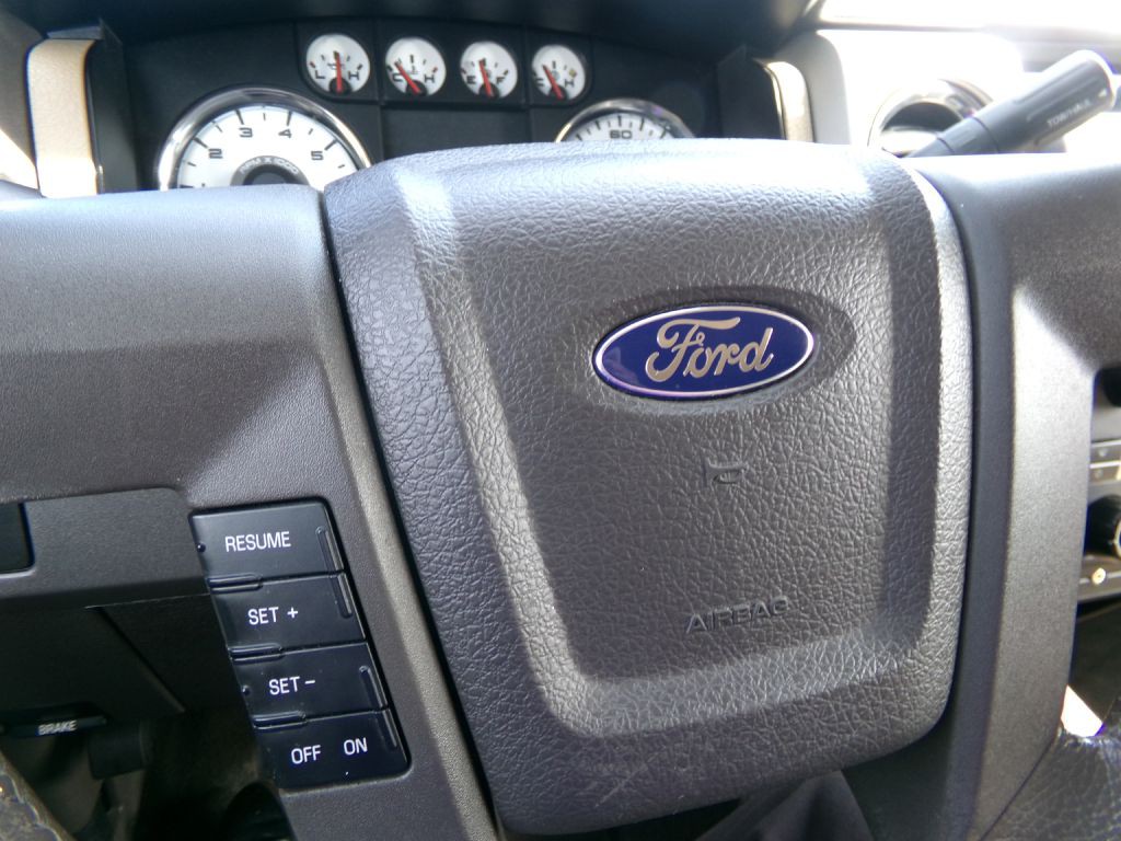 2010 Ford F-150 Image 19