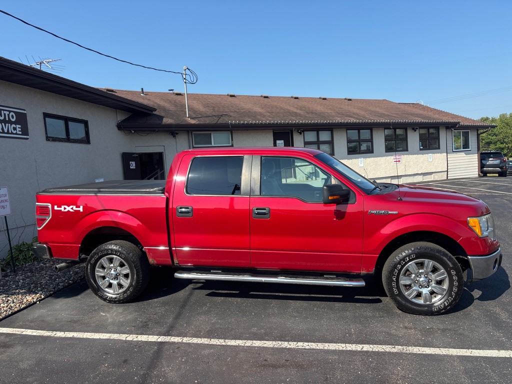 2010 Ford F-150 Image 2