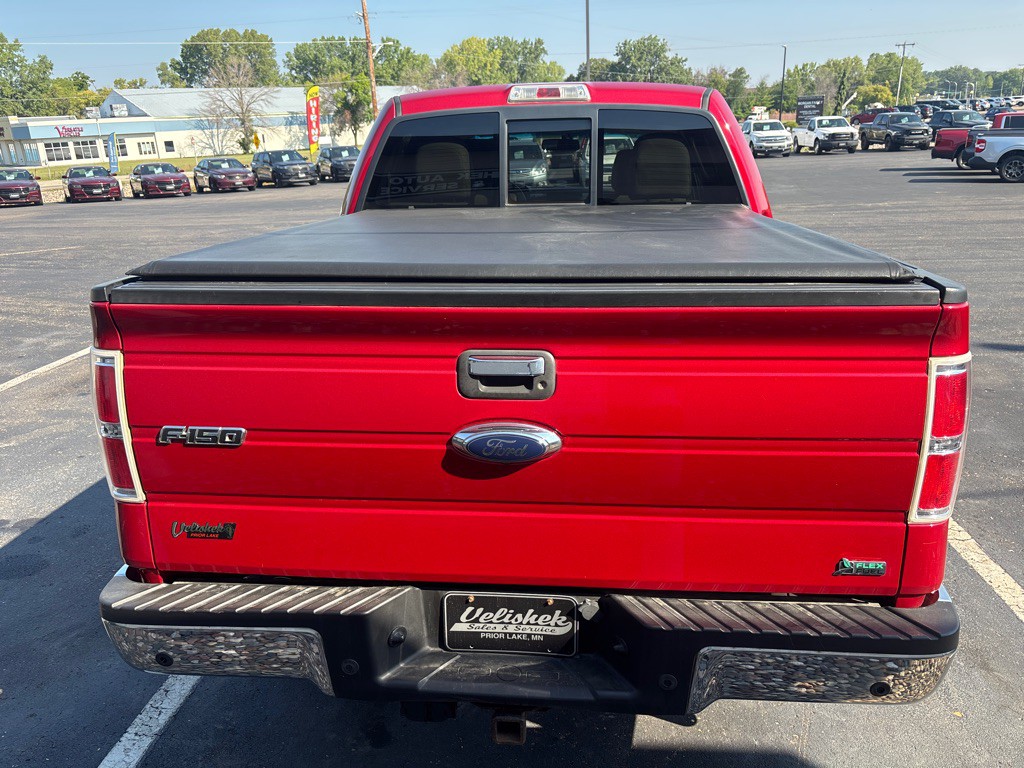 2010 Ford F-150 Image 4