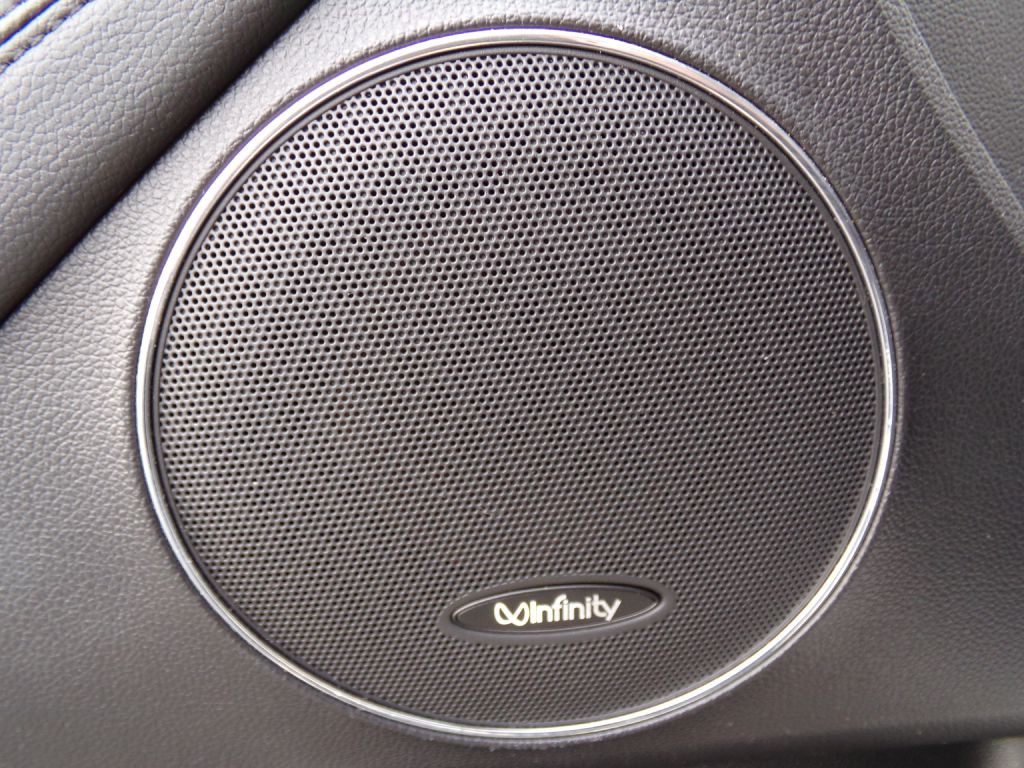 2014 Kia Cadenza Image 22