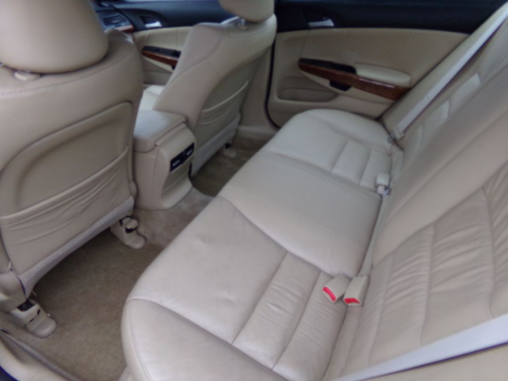 2011 Honda Accord Image 6