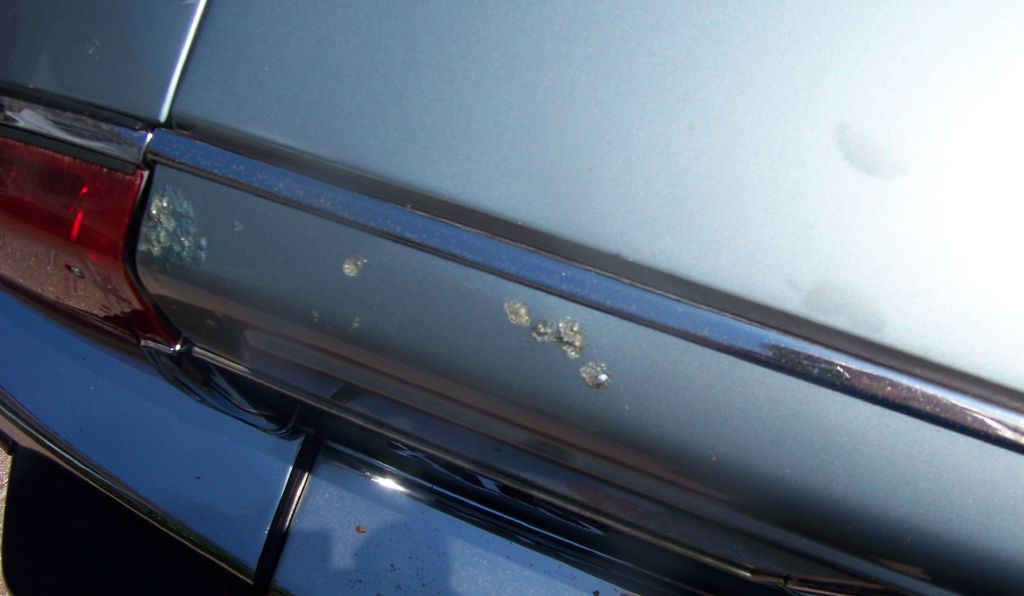 1990 Jaguar XJ Image 23