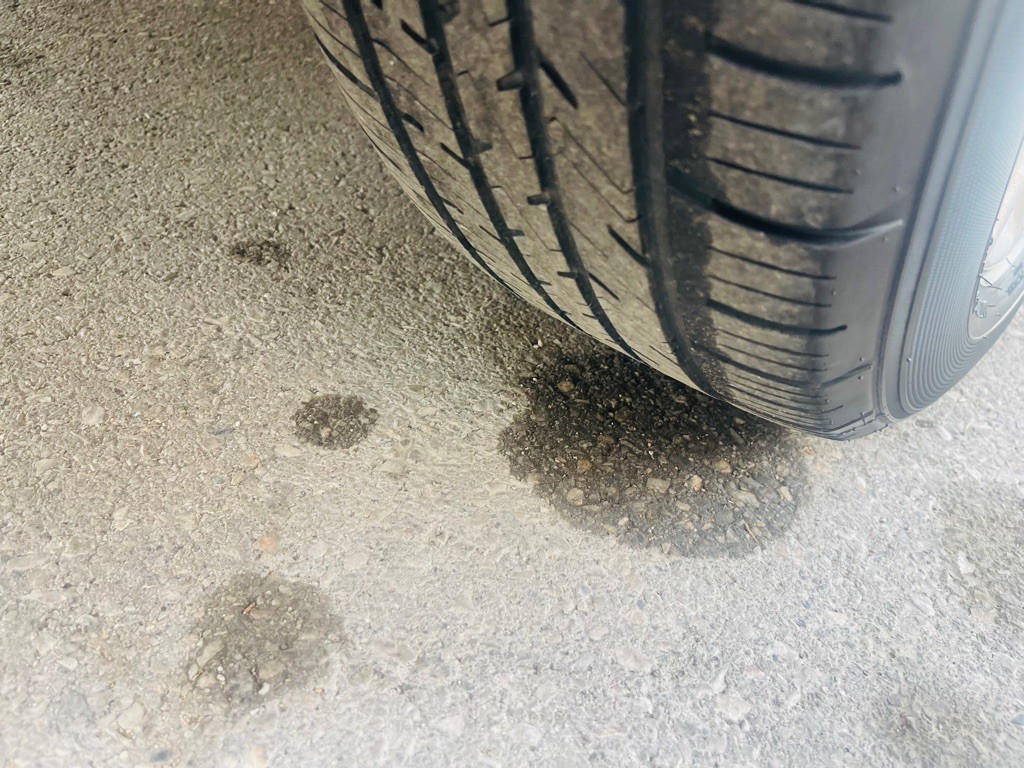 2016 Ford Focus Image 21