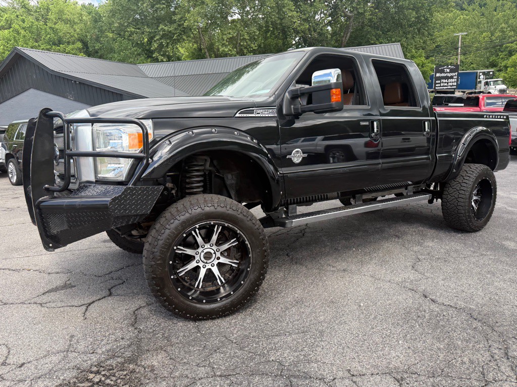 2015 Ford F-250 Image 3