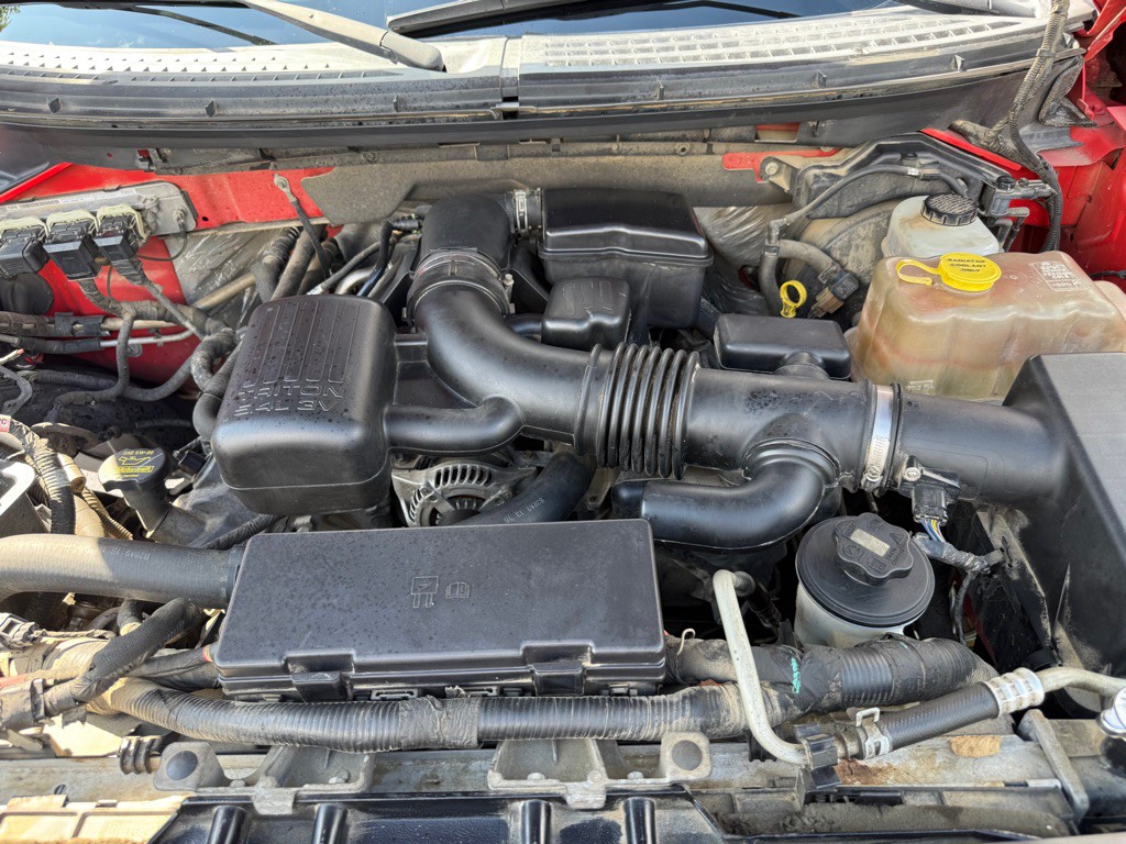 2010 Ford F-150 Image 23