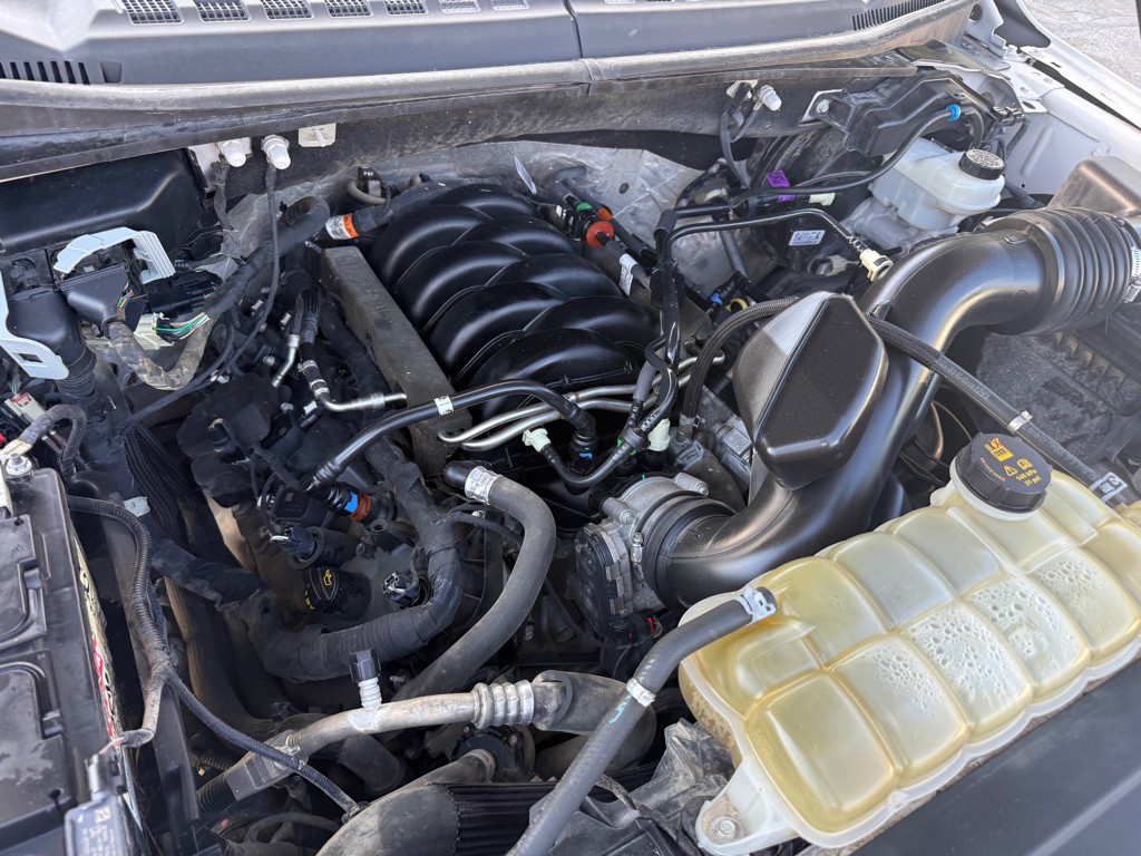 2019 Ford F-150 Image 2