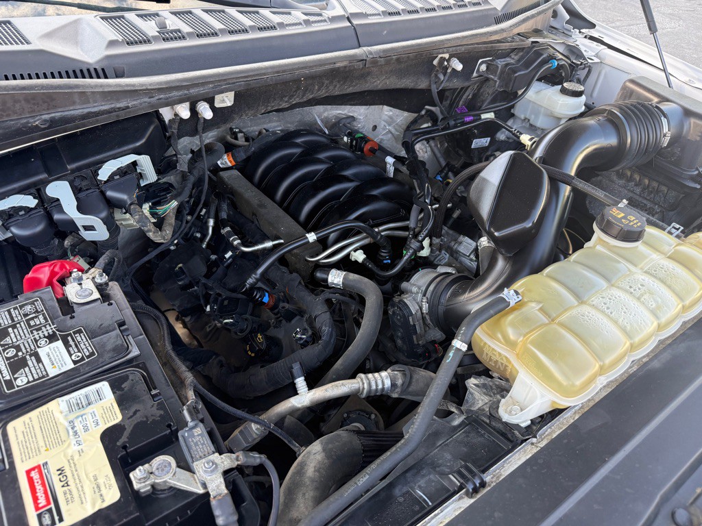 2019 Ford F-150 Image 3